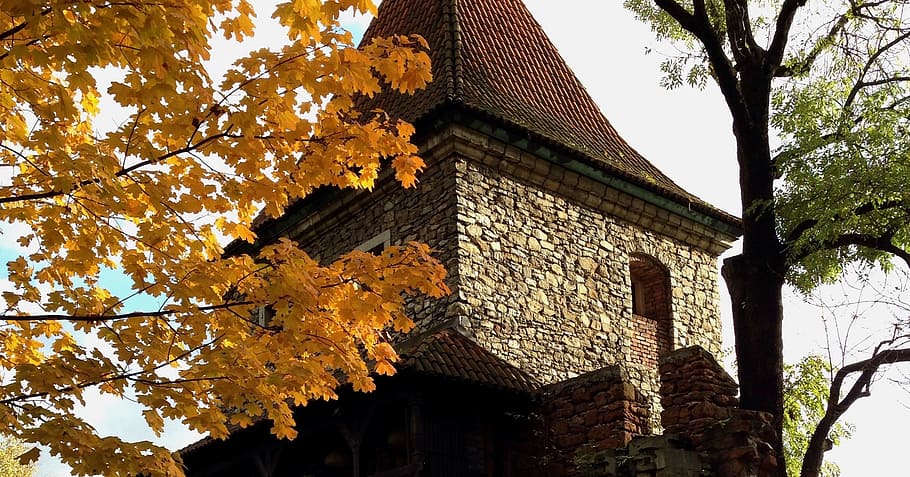 Olkusz, Poland, Architecture, Tree, foliage, autumn, architecture And Buildings HD wallpaper