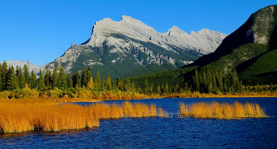 Vermillion Lakes landscape in Banff National Park, Alberta, Canada, HD wallpaper