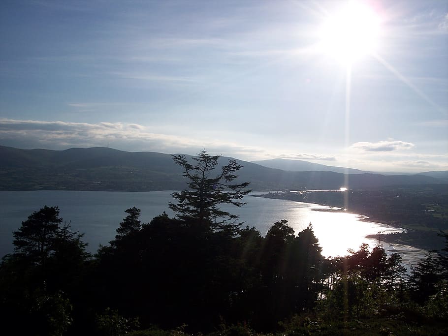 Sunny, Lakes, Trees, Flora, Water, Blue, sky, sunlight, landscapes HD wallpaper