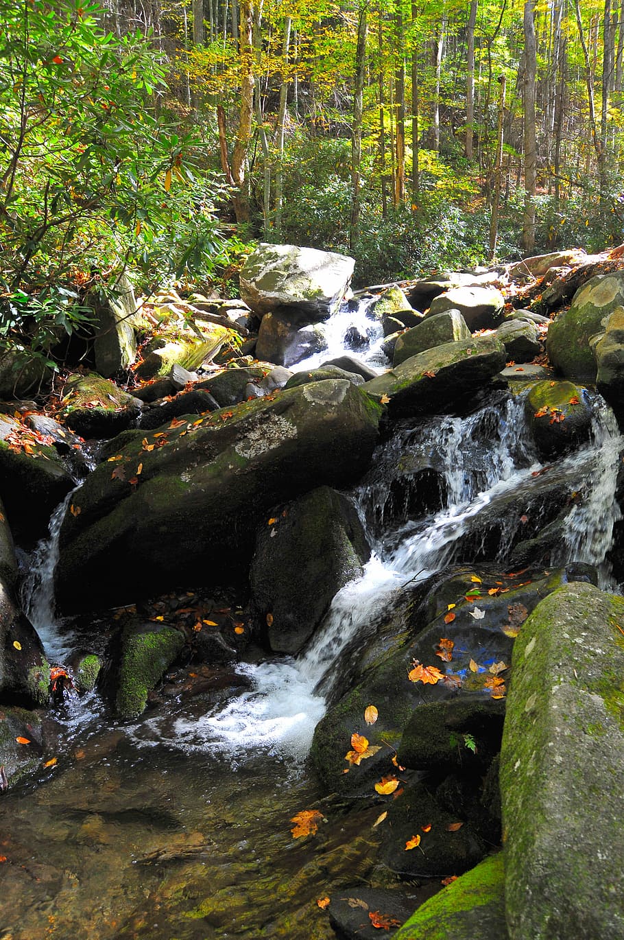 Waterfall, Stream, River, Natural, cascade, rock, forest, nature HD wallpaper