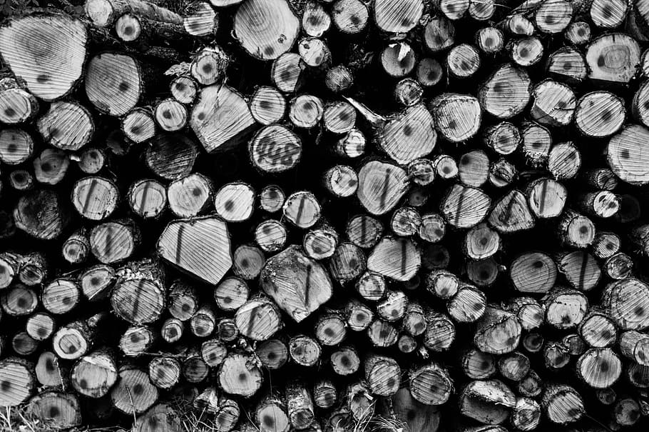 Stack, Wood, Firewood, holzstapel, nature, stacked, log, stock HD wallpaper