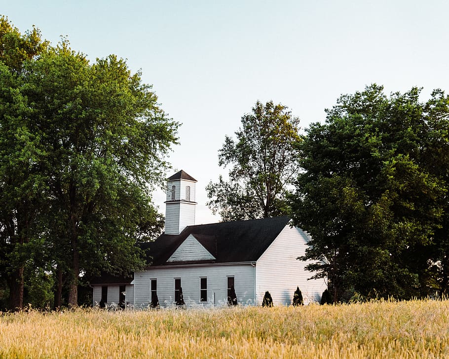 white and black chapel surround by trees, church surrounded by green leafed trees during daytime HD wallpaper