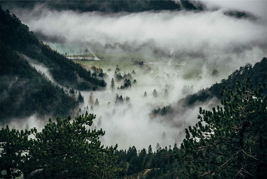 green trees mountain photo, autumn, black, branches, clouds, fog HD wallpaper