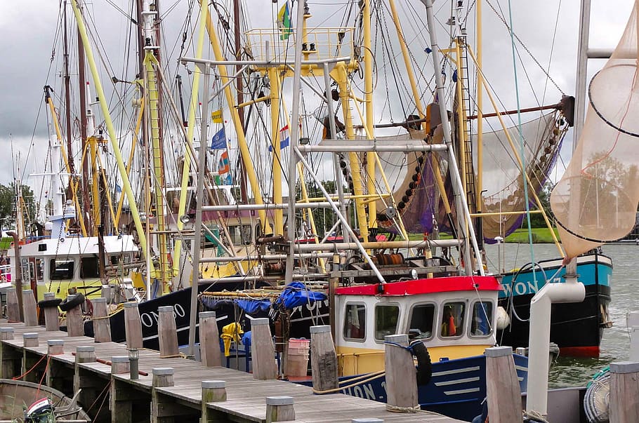 netherlands, ships, boats, harbor, bay, water, pier, dock, masts HD wallpaper