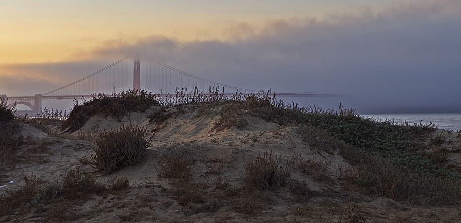 clouds, fog, sky, sun, landscape, rising fog, nature, evening sky HD wallpaper