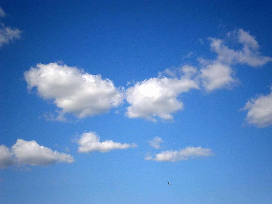 clouds, clouds form, sky, blue, white, cloud - sky, flying HD wallpaper