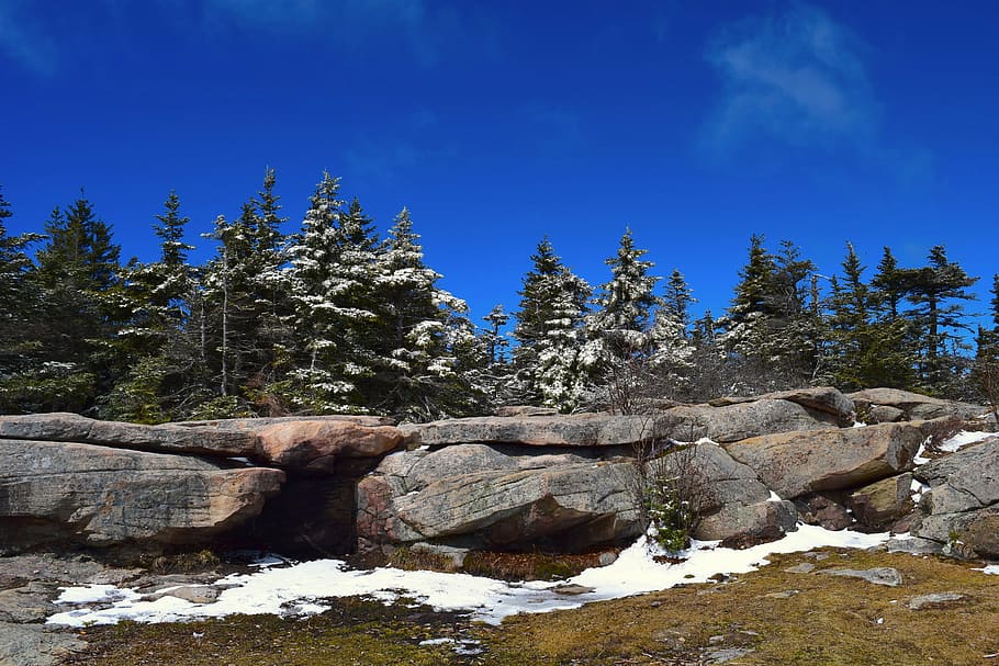 pine trees, sky, nature, green, snow, rock, stone, winter, natural HD wallpaper