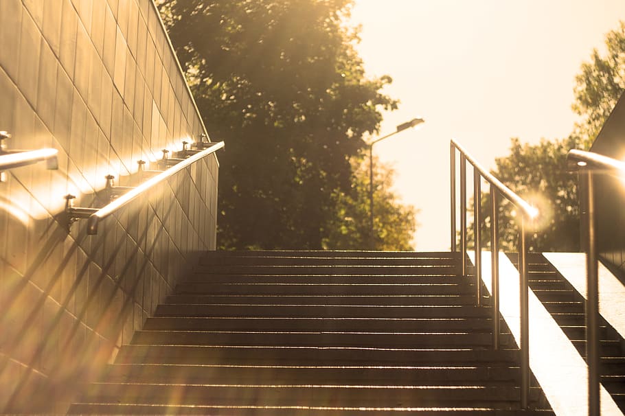 exit, light, park, transition, city park, sunlight, day, stroll HD wallpaper