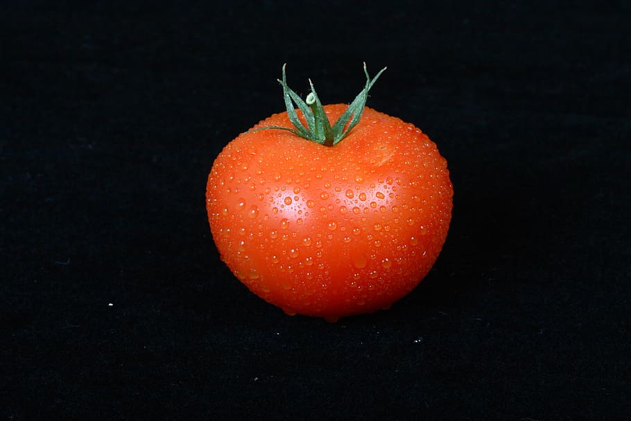 red, tomato, vegetable, food, freshness, ripe, organic, vegetarian Food HD wallpaper