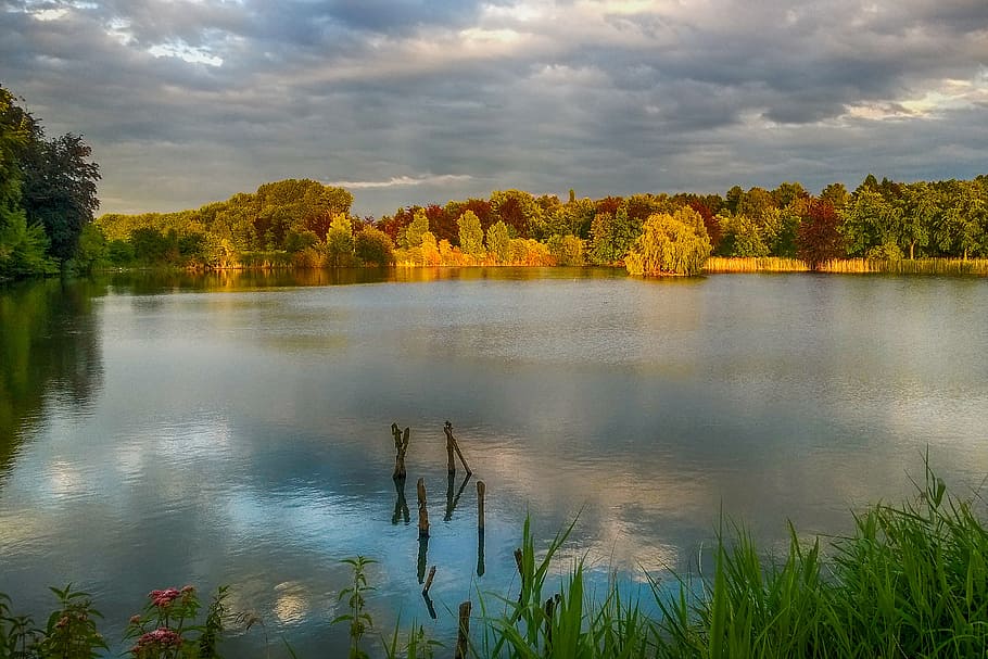 abbey, heverlee, nightfall, water, cloud - sky, plant, tree HD wallpaper