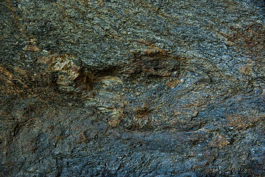 texture, wood, bark, textured, backgrounds, full frame, no people HD wallpaper