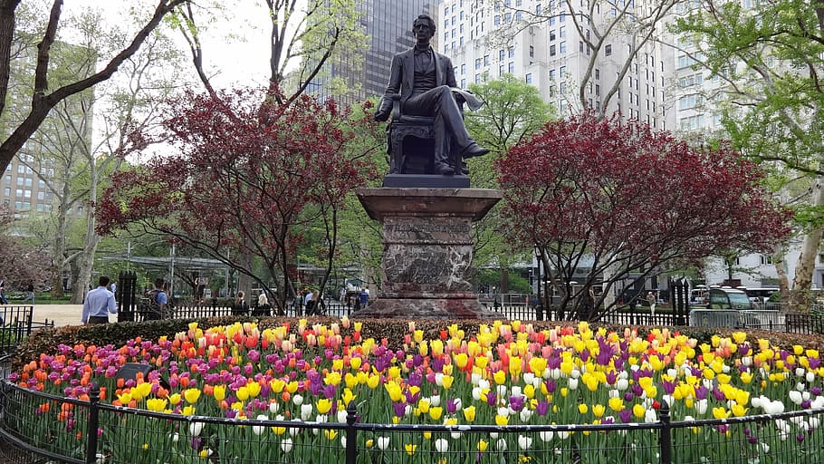 new york, spring, park, tulip, memorial, flower, plant, tree HD wallpaper