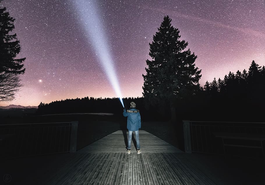 night sky, searching, seeking, one person, tree, rear view HD wallpaper