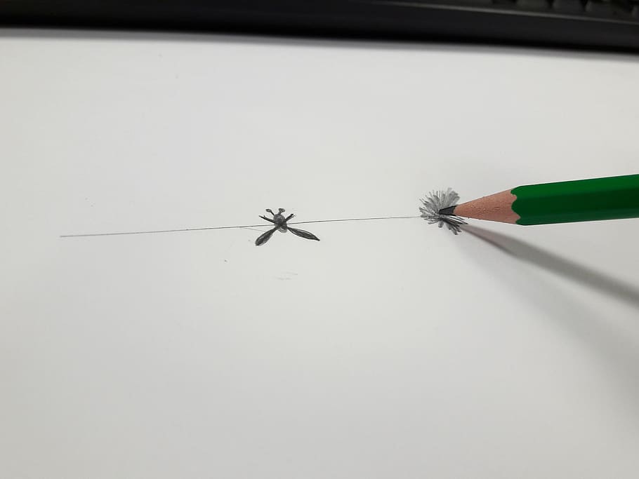pencil, leaf, drawing, sketch, office, indoors, art and craft HD wallpaper