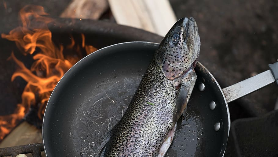 close-up photo of gray edible fish on black frying pan, cooking HD wallpaper