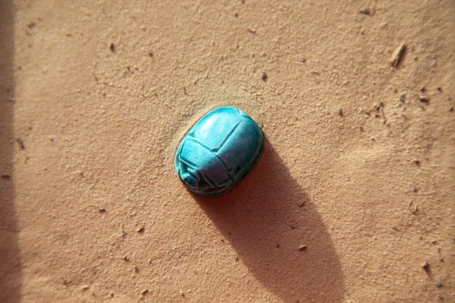 scarab, sand, insect, pyramids, land, sunlight, day, close-up HD wallpaper