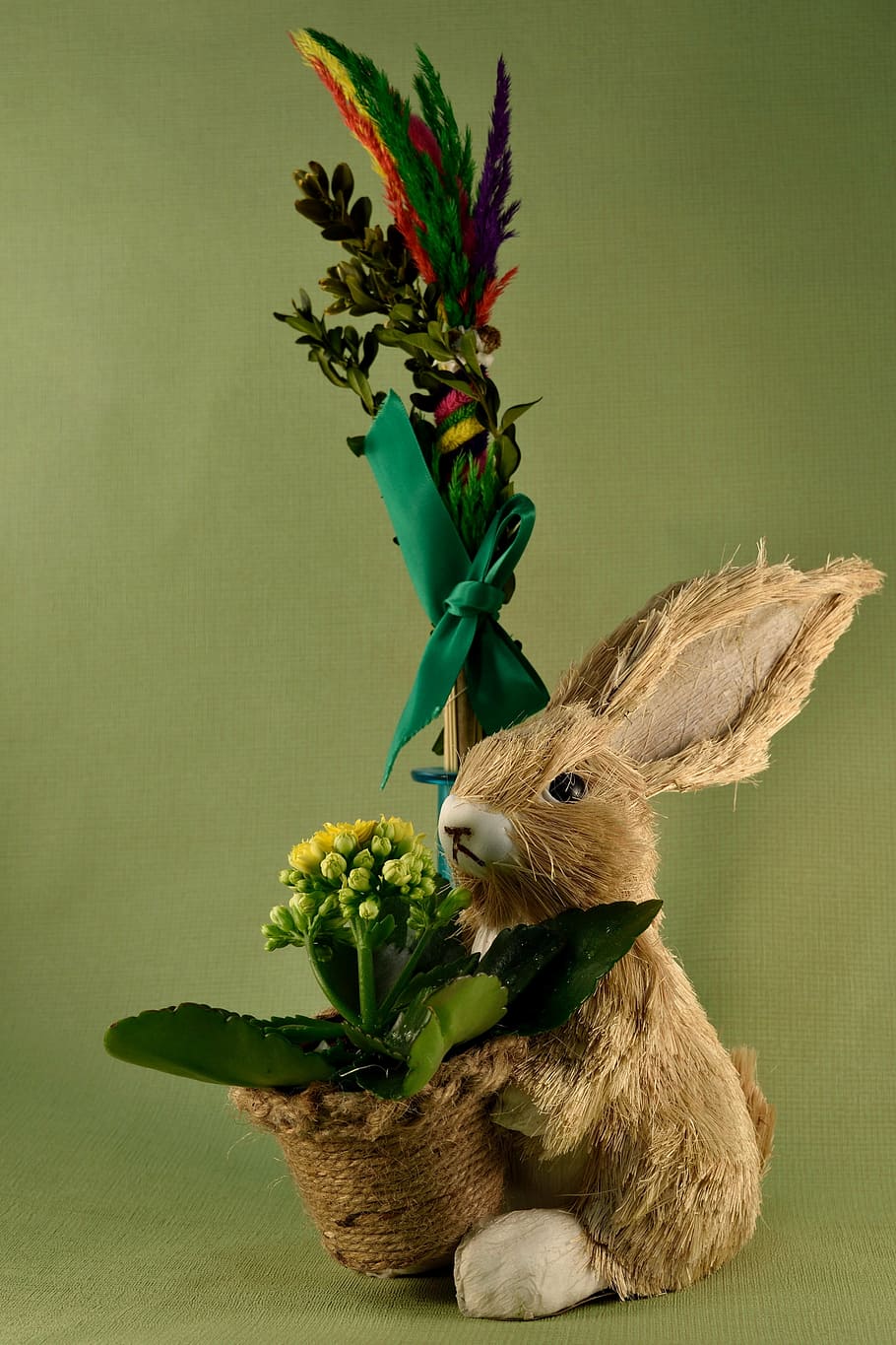 easter, palma, hare, rabbit - Animal, cute, green Color, plant HD wallpaper