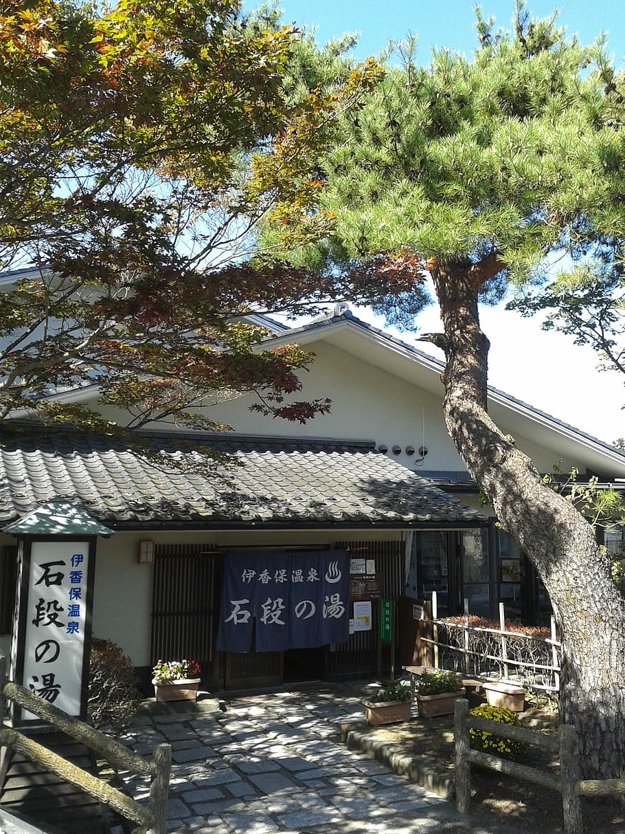 Spa, Japan, Perfume, tree, house, building exterior, architecture HD wallpaper