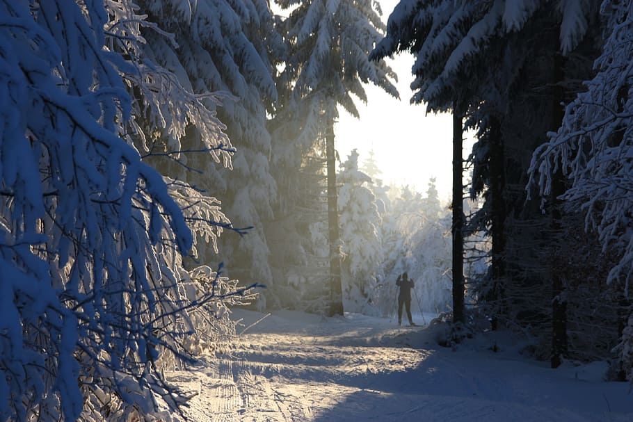 winter, ore mountains, snow, cold, blue sky, snowy, cold temperature HD wallpaper