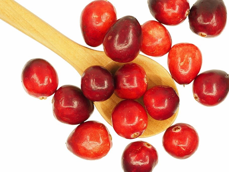 round red fruits in brown ladle, cranberry, spoon, sour, nature HD wallpaper