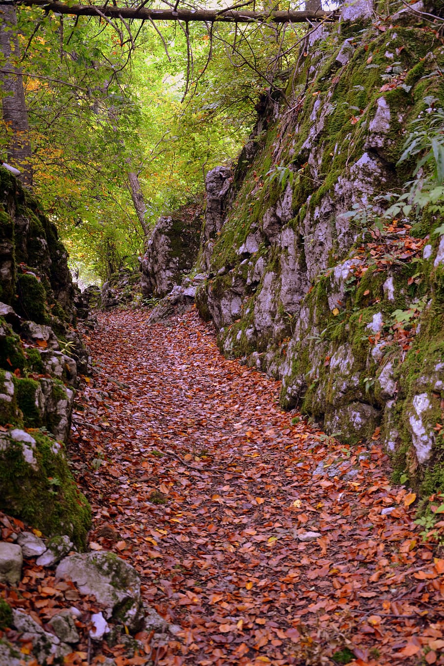 Leave a trail. Каменная тропа. Камни тропа. Осенние камни. Дорога из камней.