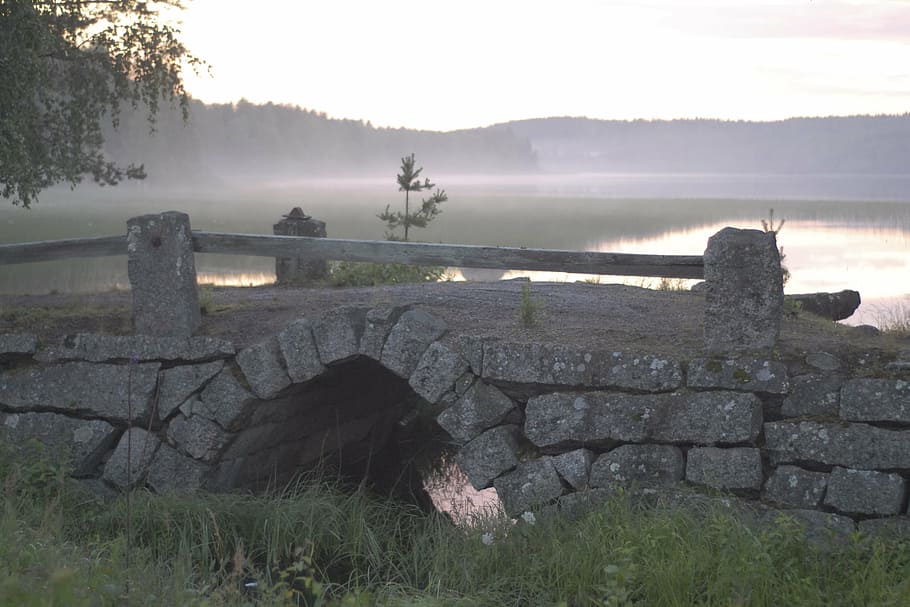 fog, evening, bridge, old, nature, architecture, plant, sky HD wallpaper