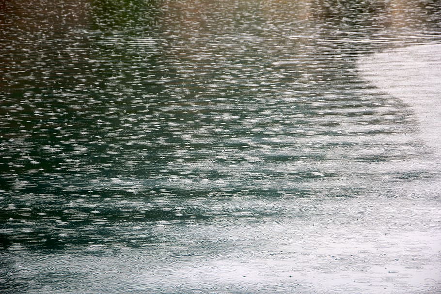 water, rain, drip, raindrop, drop of water, nature, backgrounds HD wallpaper
