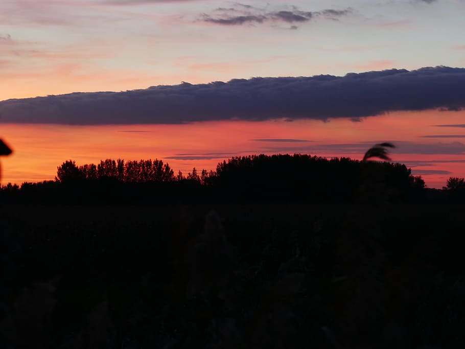night, the sky, dark, country, in the evening, sunset, beauty in nature HD wallpaper