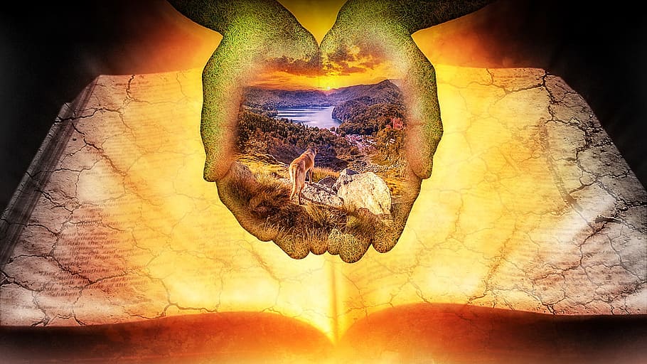 hand and book illustration, Earth, Book, Hand, Globe, Education HD wallpaper