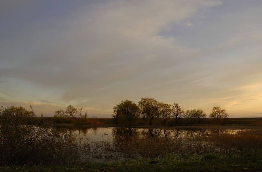 lake, swamp, spring, after sunset, nature, ukraine, water, tranquility HD wallpaper