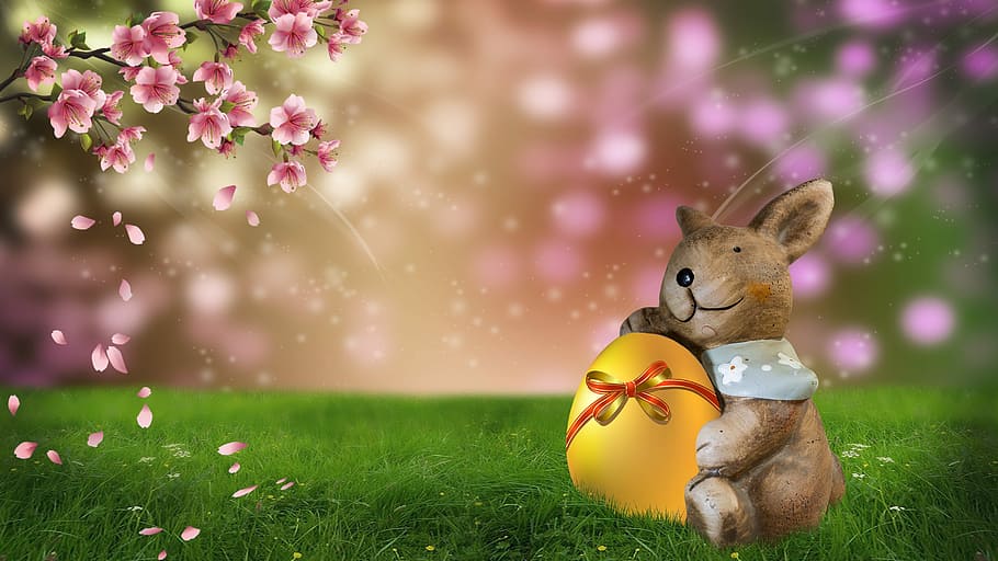 animated brown bunny hugging gold egg while sitting on green grass facing pink flowers wallpaper HD wallpaper