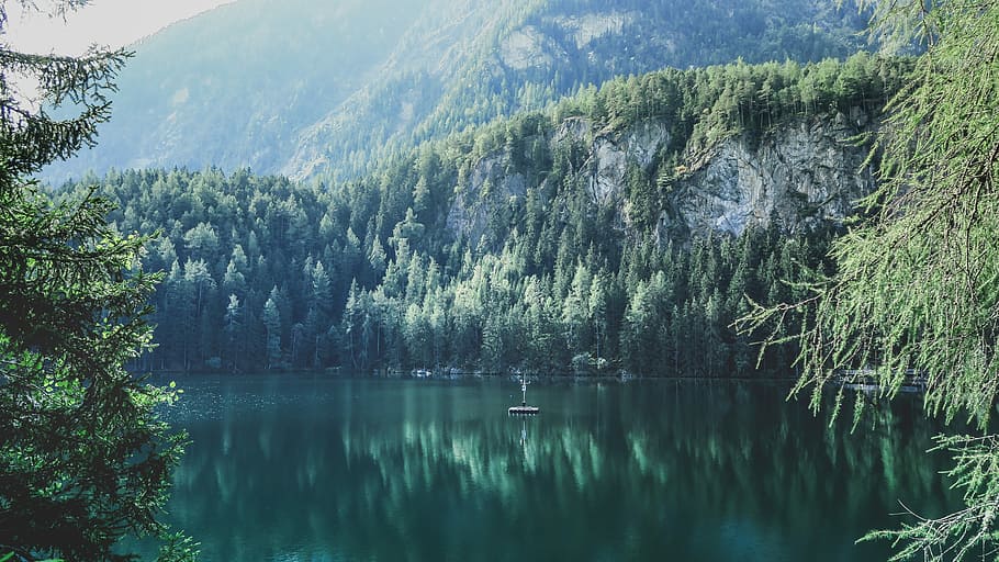 photo of calm body of water surrounded by trees, brown boat on body of water near furest HD wallpaper