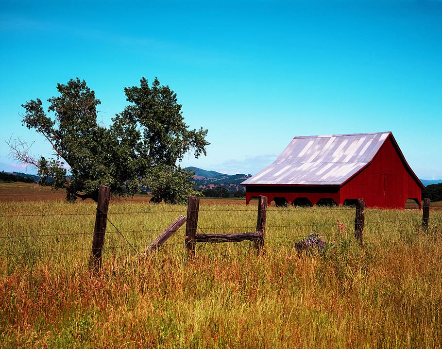 fence between grass fields, california, hut, log cabin, barn, HD wallpaper