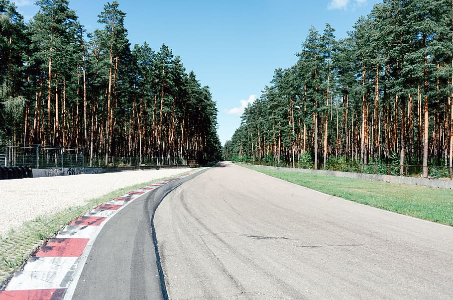 Racing track, sports, tree, nature, road, outdoors, forest, asphalt HD wallpaper