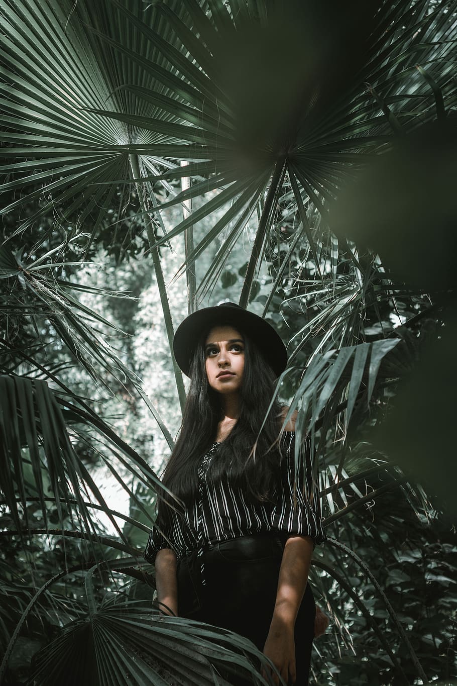 woman standing surrounded by palm leaves, woman under green leafed plant HD wallpaper