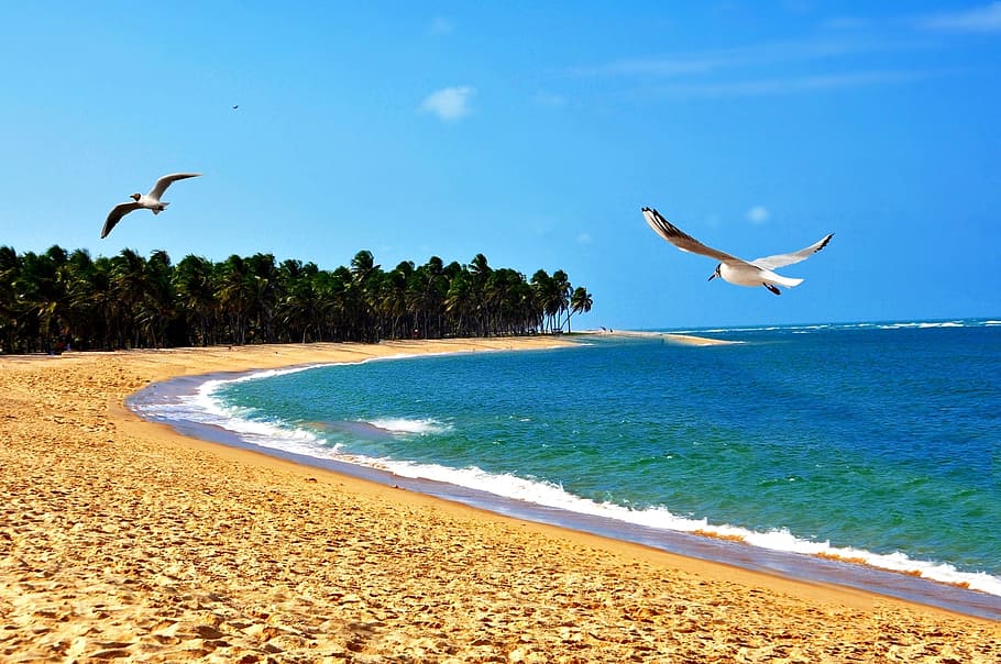 beach, orla, mar, ocean, wave, sand, nature, water, litoral HD wallpaper