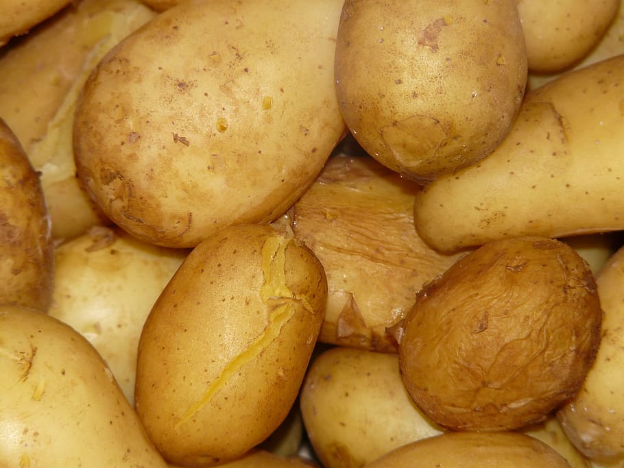 potatoes, cooked, shell, food, eat, hot, organic, vegetable HD wallpaper