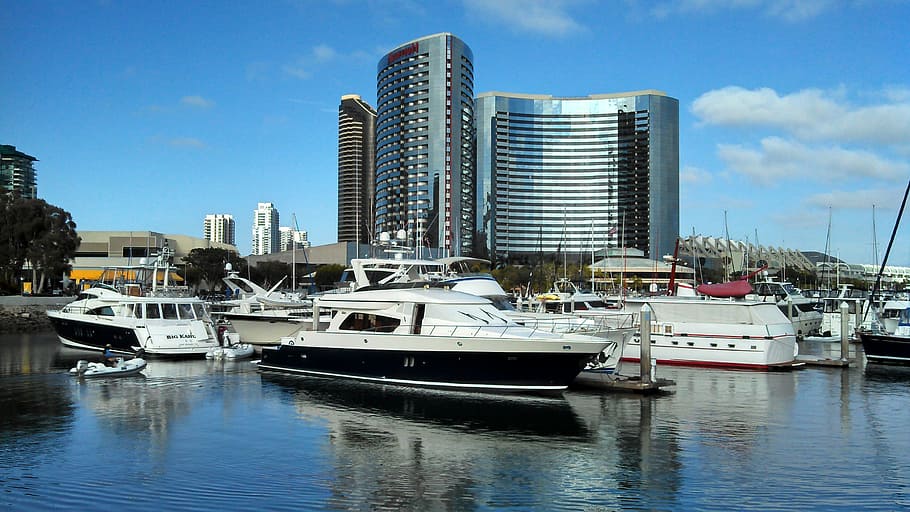 white and black speedboat on body of water near city, hotel HD wallpaper