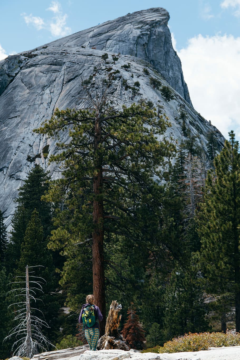 woman standing under tree and alps mountain, person standing in front of brown tree HD wallpaper