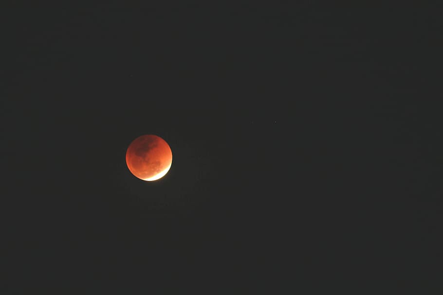 lunar eclipse photo, red and white moon at nighttime, dark, black HD wallpaper