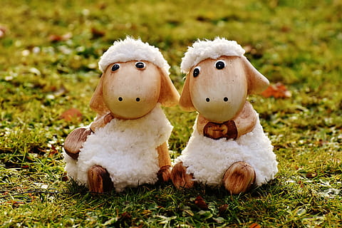 two white sheep decors on green grass, ceramic, cute, figure HD wallpaper