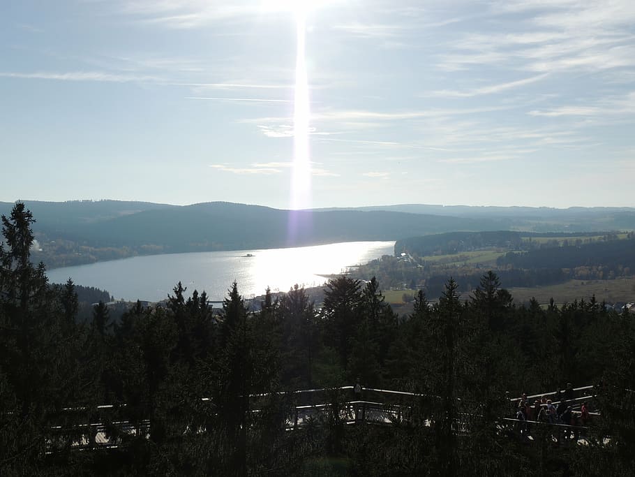 trail, crowns, trees, forest road, trip, for children, lipno HD wallpaper