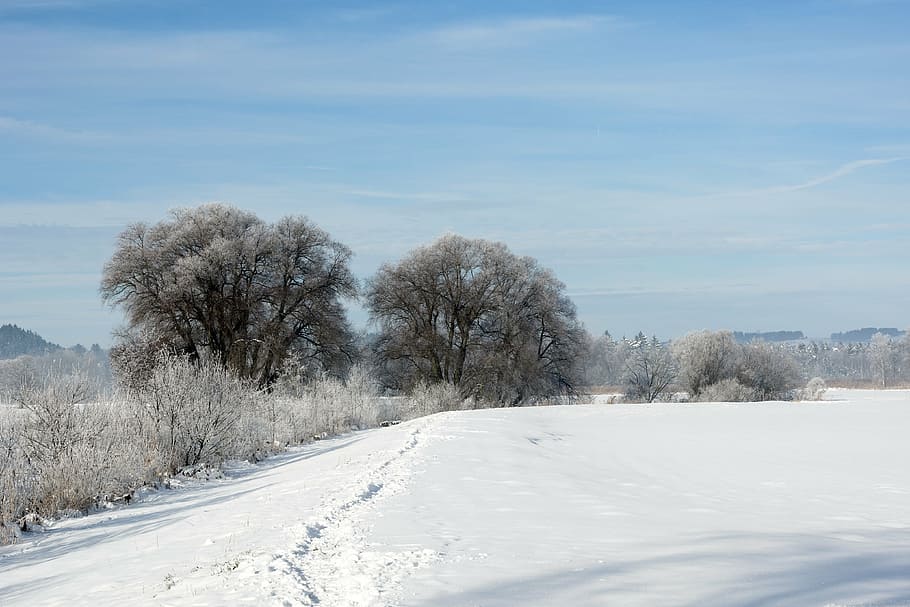 landscape, winter, snow, wintry, white, snowy, snow magic, romantic HD wallpaper