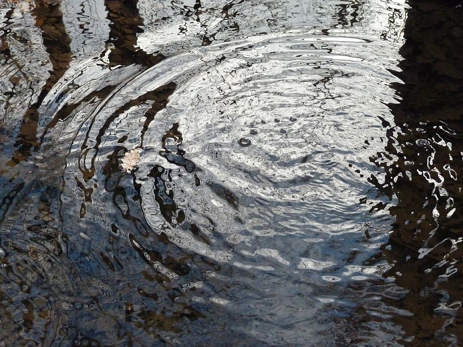 water, reflections, nature, winter, light and shade, mare, dark HD wallpaper