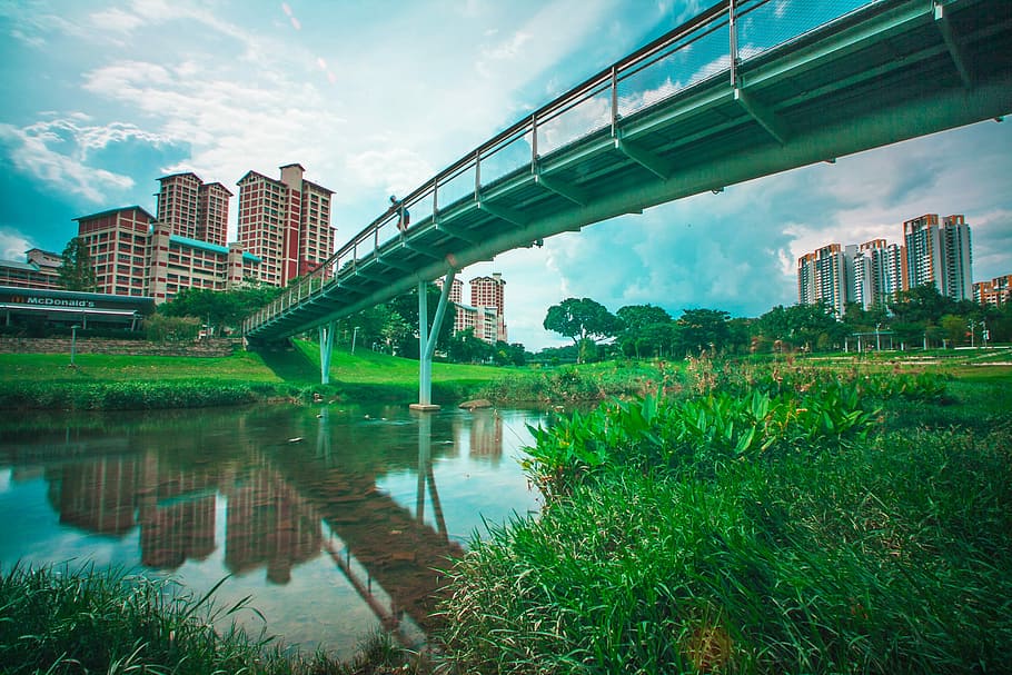 Bridge, Bishan, Park, bishanpark, bishanangmokio, hdb, flats, HD wallpaper