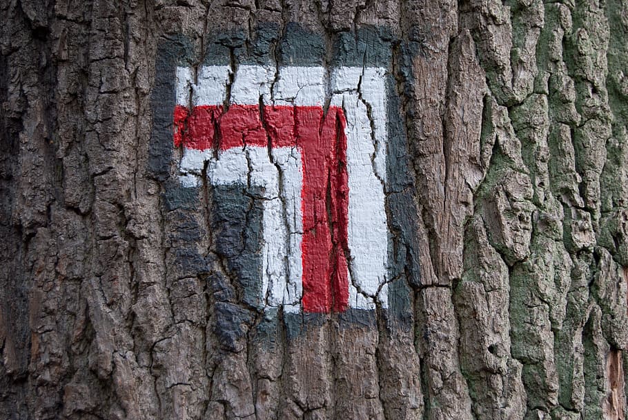 trail, tree, hiking trails, patriotism, red, no people, flag HD wallpaper