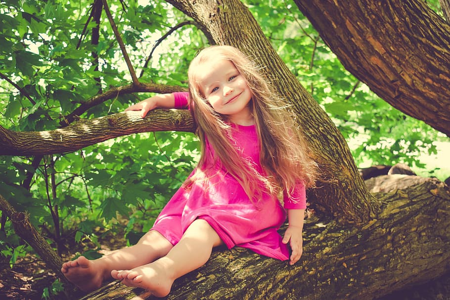 girl in pink long-sleeved dress sitting on tree, child, children, HD wallpaper