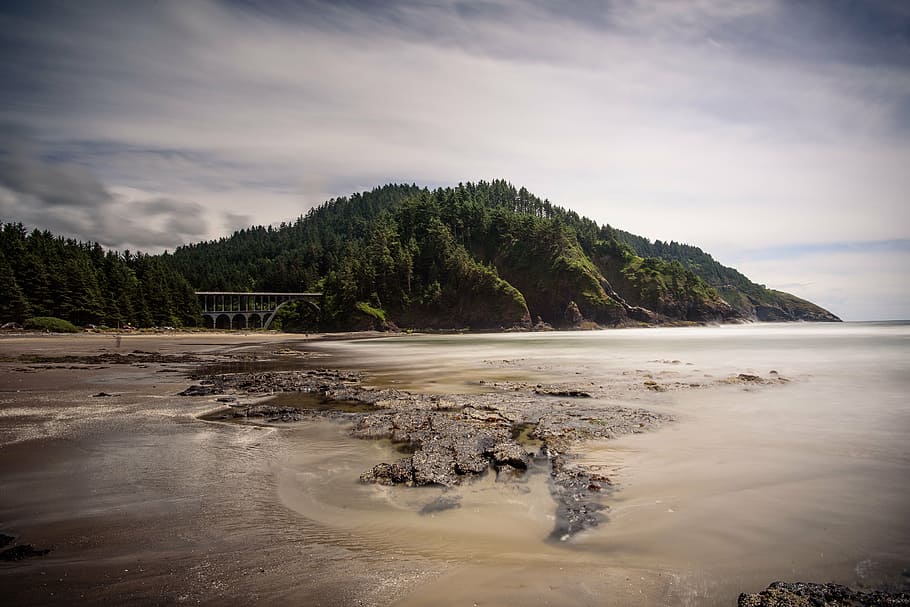 body of water, sea, ocean, waves, nature, mountain, trees, plants HD wallpaper