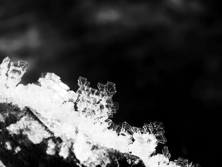 crystals, ice, winter, cold, black and white, macro, snow, no people HD wallpaper