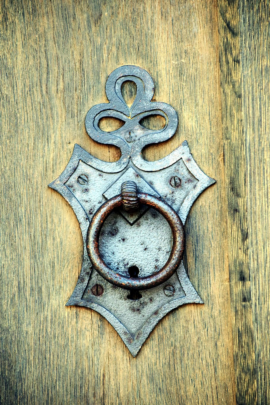silver door knocker on brown wooden door, thumper, handle, old